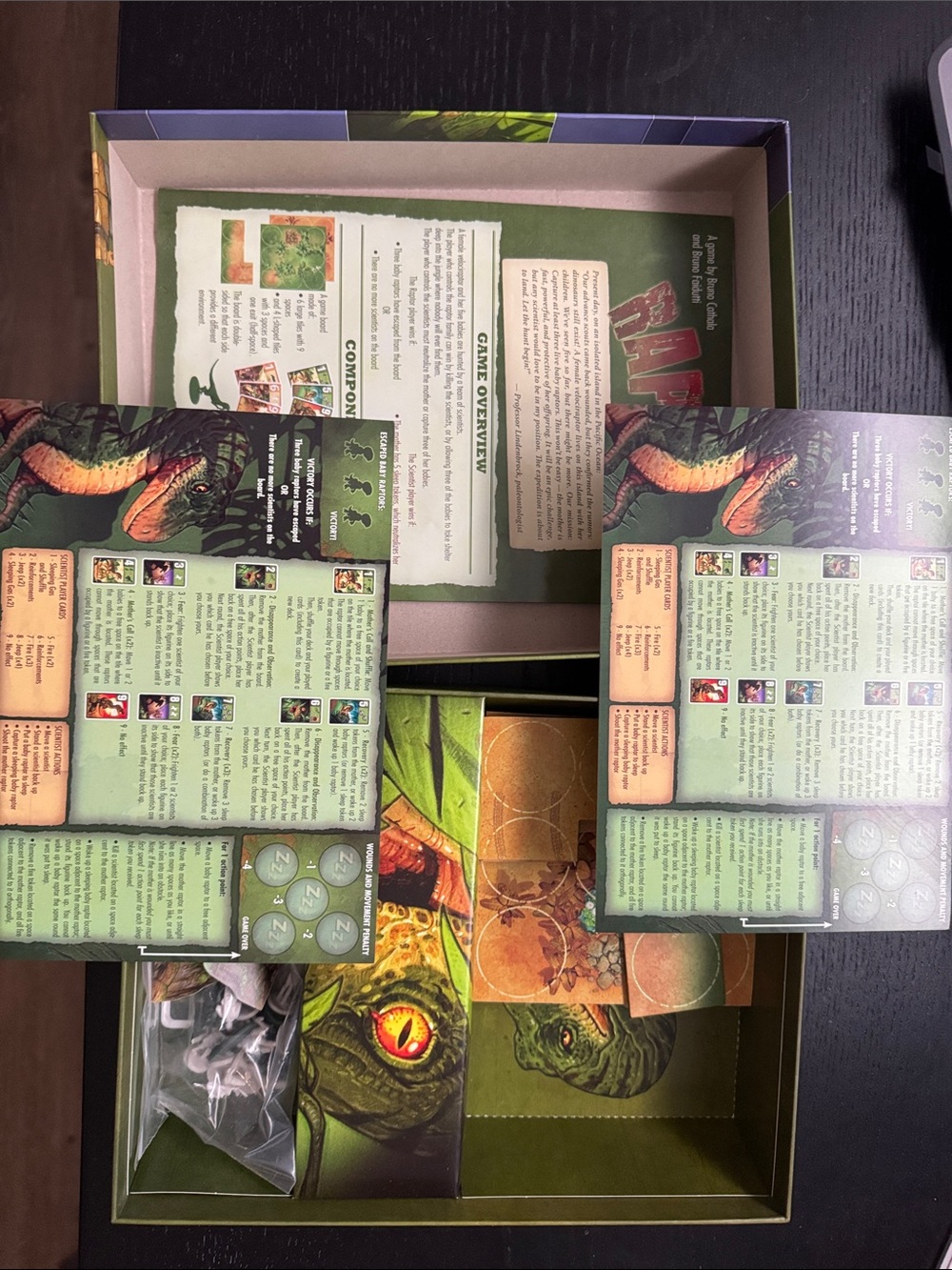 Raptor Board Game - Green - Picture 3 of 3